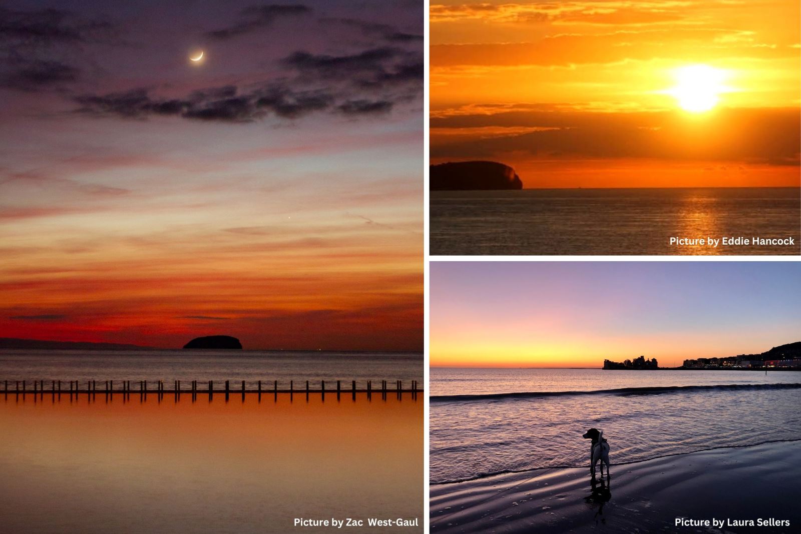 A collage of three sunsets at Weston-super-Mare including one with a moon over Marine Lake, another with a dog on the beach and  another with a bright sun in a golden orange sky over the island of Steep Holm